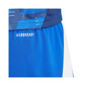 Adidas Tiro 24 M shorts IR9378 (M)