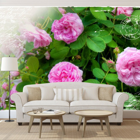 Fototapeet - Summer garden - 350x245