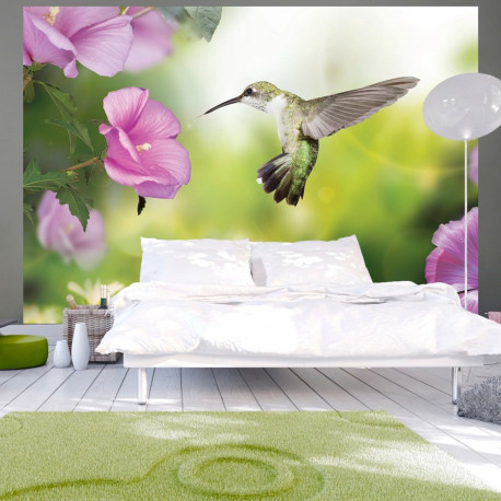 Fototapeet - Humming-bird - 350x245