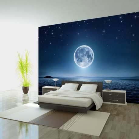 Fototapeet - Moonlit night - 400x280