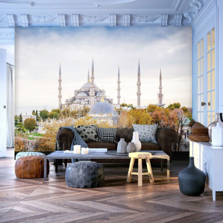 Fototapeet - Hagia Sophia - Istanbul - 100x70