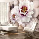 Fototapeet - Flowers and Shells - 300x210