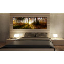 Seinapilt - Beautiful Forest - 135x45