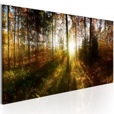 Seinapilt - Beautiful Forest - 150x50