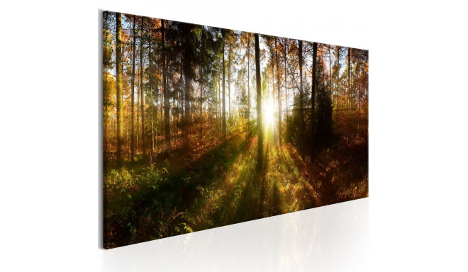 Seinapilt - Beautiful Forest - 150x50