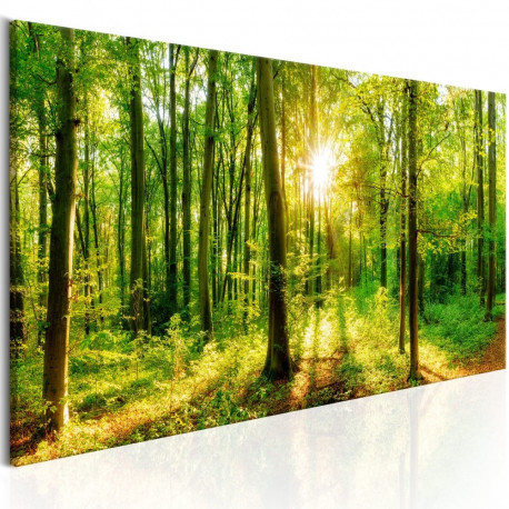 Seinapilt - Green Magic - 120x40