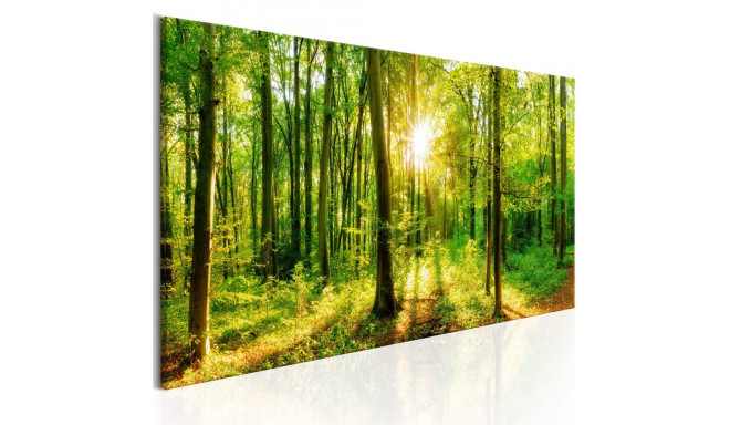 Seinapilt - Green Magic - 120x40