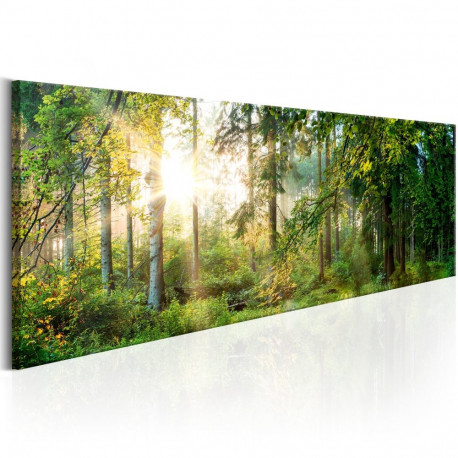 Seinapilt - Forest Shelter - 150x50