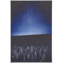 Beliani Picture on canvas in frame night land