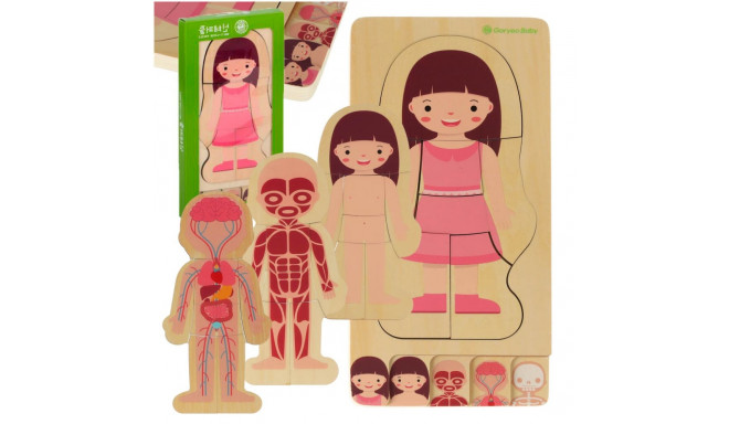Puidust mitmekihiline puzzle keha ehitamine montessori tüdruk
