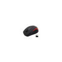 Esperanza EM101 Mouse 800 DPI