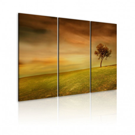 Seinapilt - A lonely tree on a meadow - 120x80