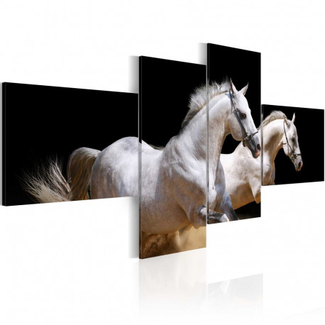 Seinapilt - Animal world- white horses galloping - 200x90