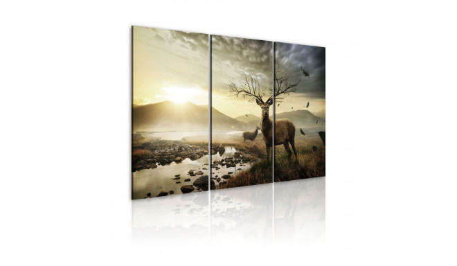 Seinapilt - Deer with a tree-like antlers - 60x40