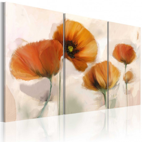 Seinapilt - Artistic poppies - triptych - 120x80