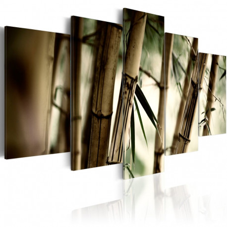 Seinapilt - Asian bamboo forest - 200x100