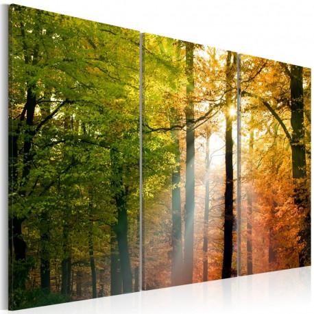Seinapilt - A calm autumn forest - 60x40