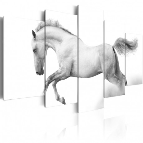 Seinapilt - Horse- passion and freedom - 100x50