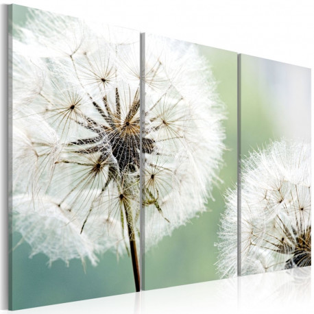 Seinapilt - Fluffy dandelions - 60x40