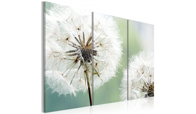 Seinapilt - Fluffy dandelions - 60x40