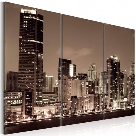 Seinapilt - Evening in Miami - 120x80