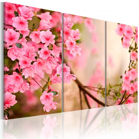 Seinapilt - Cherry flower - 60x40