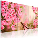Seinapilt - Cherry flower - 120x80