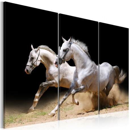 Seinapilt - Horses- power and velocity - 90x60