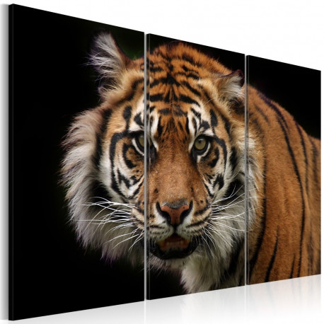 Seinapilt - A wild tiger - 120x80