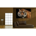 Seinapilt - A wild tiger - 60x40