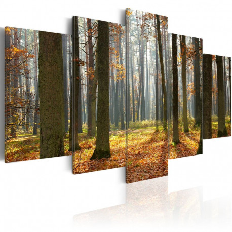 Seinapilt - A nice forest landscape - 100x50