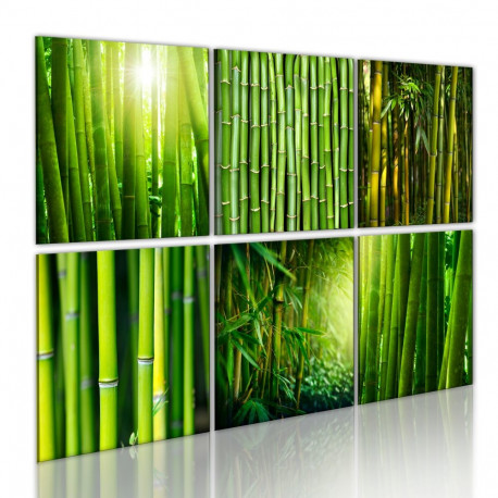 Seinapilt - Bamboo has many faces - 60x40