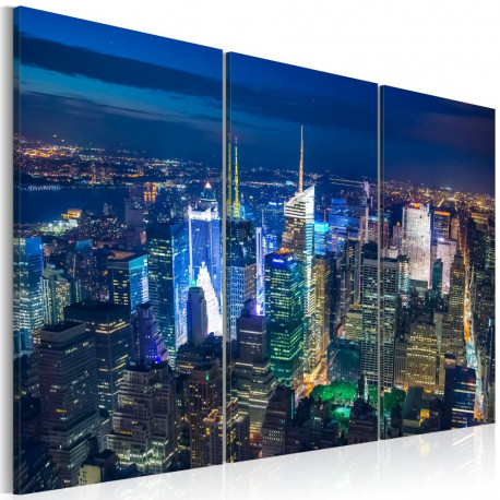 Seinapilt - Bird´s eye view of New York City by night - 60x40