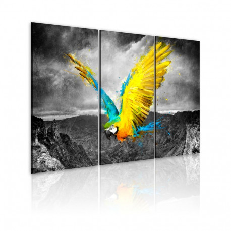 Seinapilt - Bird-of-paradise - 60x40