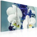 Seinapilt - Chimerical orchids - 90x60