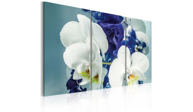 Seinapilt - Chimerical orchids - 90x60