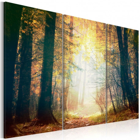 Seinapilt - Beauty of autumn - triptych - 120x80
