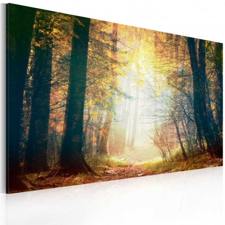 Seinapilt - Beauty of autumn - 120x80