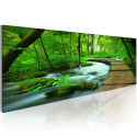 Seinapilt - Forest broadwalk - 135x45