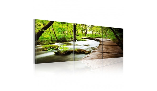 Seinapilt - Forest Brook - 90x30