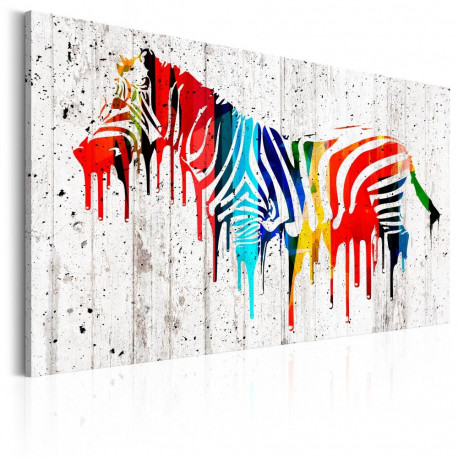 Seinapilt - Colourful Zebra - 60x40