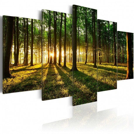 Seinapilt - Adventure in the woods - 100x50