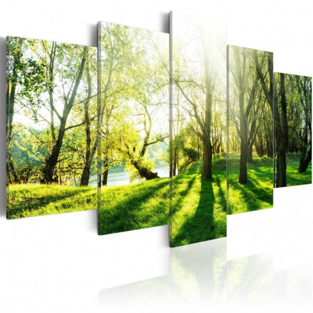 Seinapilt - Green Glade - 100x50