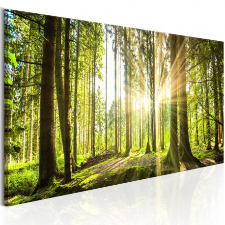 Seinapilt - Daylight - 150x50