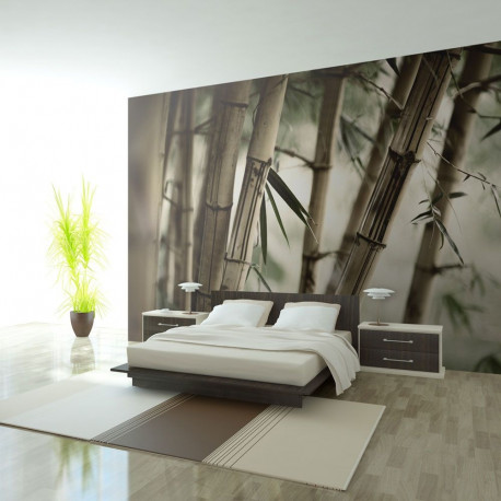 Fototapeet - Fog and bamboo forest - 450x270