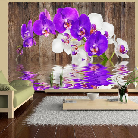 Fototapeet - Connection - 350x245