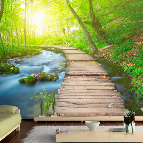 Fototapeet - Green forest - 400x280