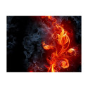 Fototapeet - Fiery flower - 300x231
