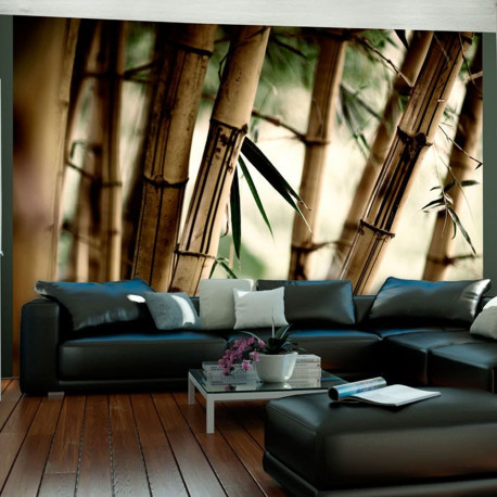 Fototapeet - Fog and bamboo forest - 300x231