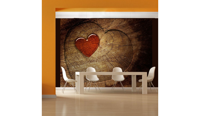 Fototapeet - Eternal love - 200x154